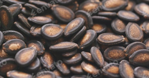 Preview: Dried Black Melon Seeds
