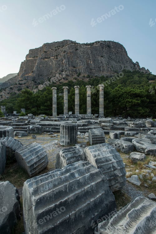 Preview: Columns of Priene