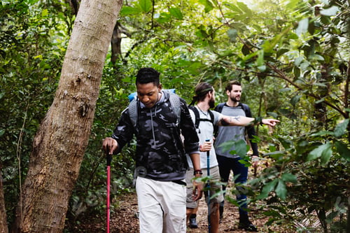 Preview: Trekking in a forest