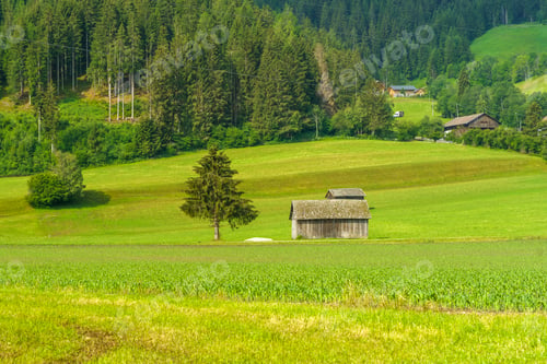 Preview: Cycleway of Pusteria valley at summer