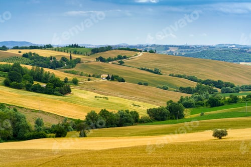 Preview: Rural landscape near Santa maria Nuova and Osimo, Marche, Italy