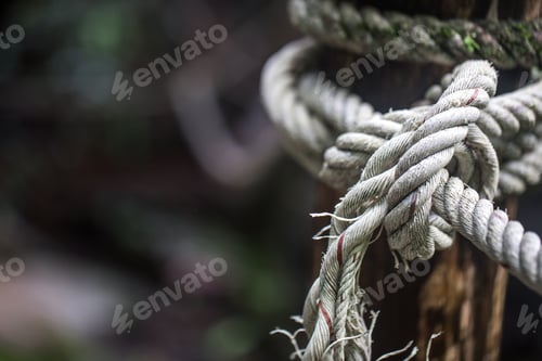 Preview: rope knot on the pole closeup