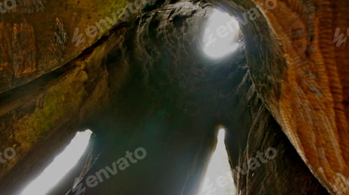 Preview: Inside a redwood tree