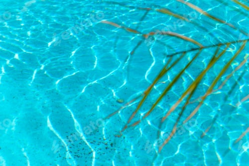 Preview: blurred summer vacation background green palm leaf and turquoise water of the swimming pool copy
