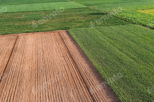 Preview: Aerial view of an arable field, revealing the meticulously plowed land.