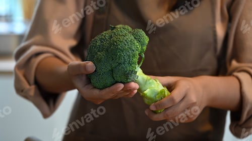 Preview: Close up of woman holding fresh broccoli, healthy organic vegetable for cooking and clean eating