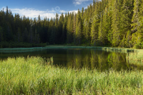 Preview: Morning on the lake