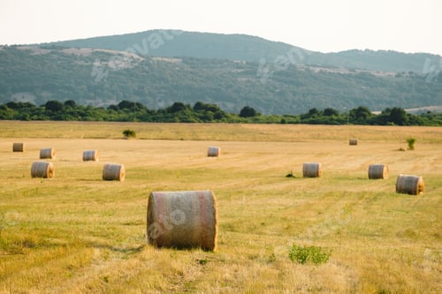 Preview: Landscape with wheat straw bales against blurry mountains