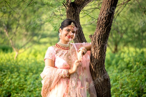 Preview: Beautiful Indian bride in traditional wedding dress.