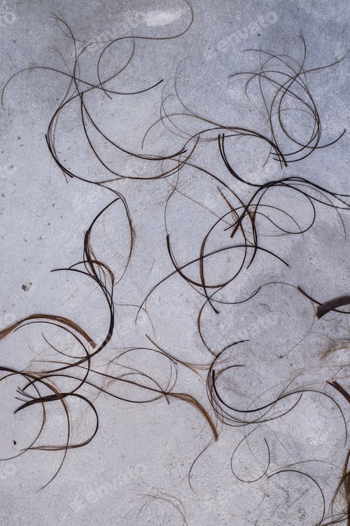Preview: Clippings or Locks of Hair on a grey concrete floor Background