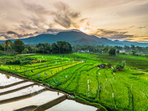 Preview: beautiful morning view indonesia panorama landscape beach with beauty color and sky natural light