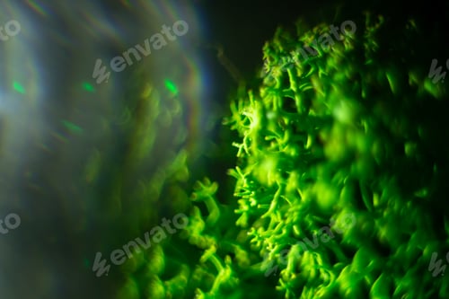 Preview: St. Patrick day green background with blur.