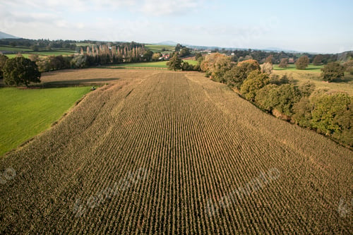 Preview: Landscape viewed from hot air balloon. Farmed fields, grassland and woodland.
