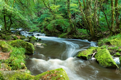 Preview: Golitha Falls in Cornwall