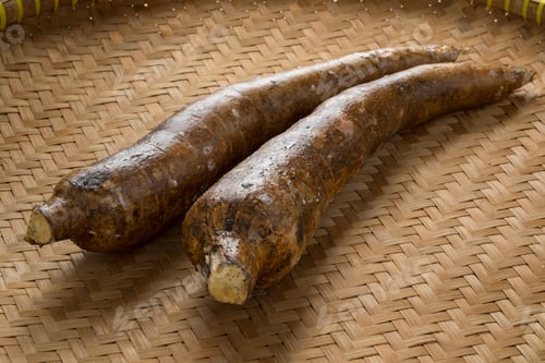 Preview: Cassava roots