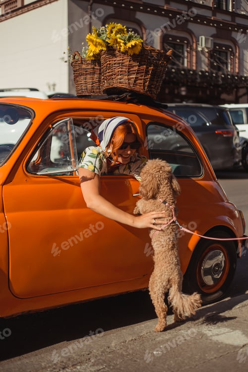 Preview: A young woman in a silk headscarf sits in a small orange retro car and plays with a small dog