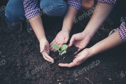 Preview: Farmer planting tree In the garden