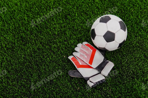 Preview: Soccer ball and goalkeeper gloves on football field. Copy space.