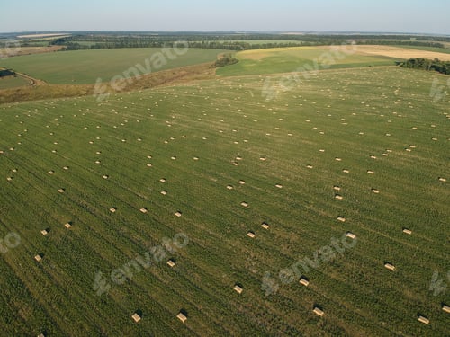 Preview: aerial view to stacked hay on the wheat field under sky. Ambrosia field.