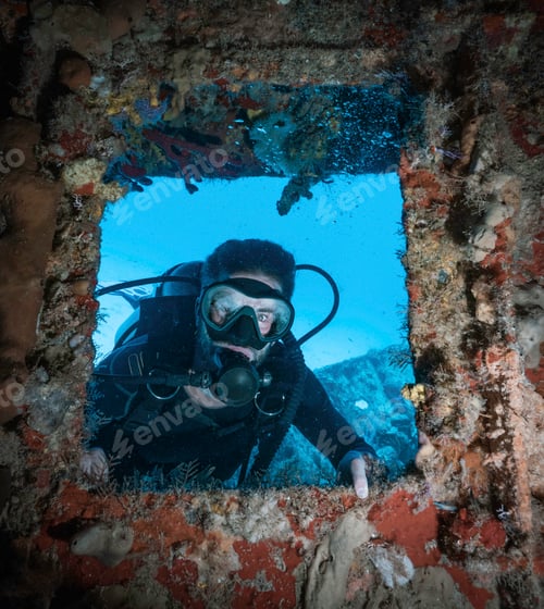 Preview: scuba diver posing in a window full of corals in a shipwreck