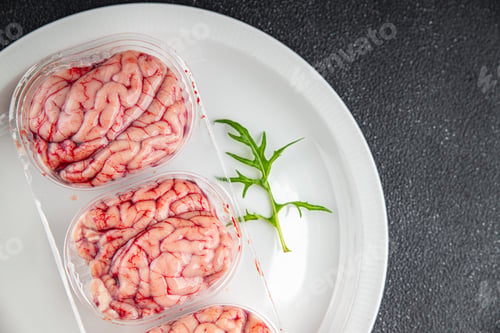 Preview: pork brains raw edible offal meat fresh food tasty fresh healthy eating cooking appetizer meal food