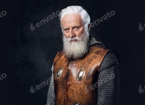 Preview: Senior knight dressed in armor against dark background