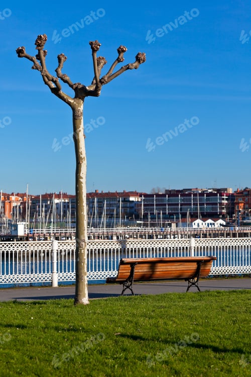 Preview: Empty wooden park bench with Marina View