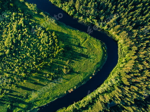 Preview: Aerial view of the forest river in summer landscape