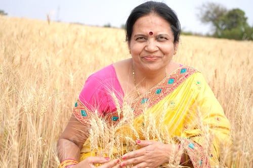 Preview: Beautiful young Indian woman wear in saree at the wheat field