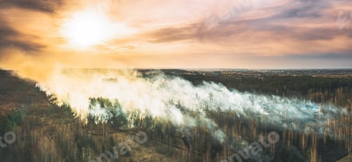 Preview: Aerial View. Spring Dry Forest Burns During Drought Hot Weather. Bush Fire And Smoke During Sunset