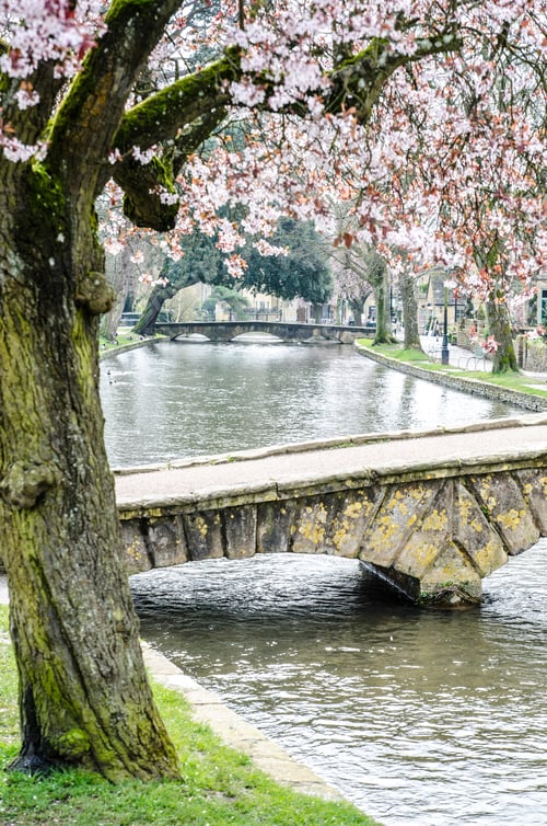 Preview: Vertical shot of a stone bridge over a river surrounded by trees in Bourton England