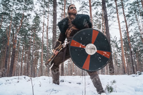 Preview: Viking Warrior with Axe and Shield in Snowy Woods