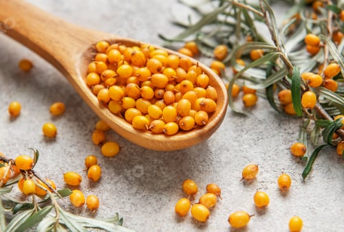 Preview: Wooden spoon overflowing with fresh sea buckthorn berries and leaves