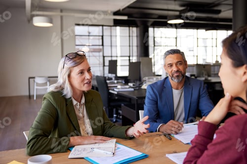 Preview: Businesswoman and mature businessman during a business meeting