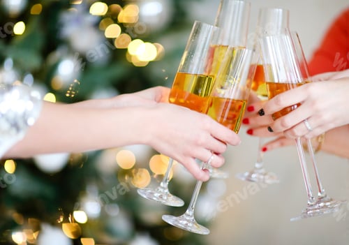 Visualização: Mulheres propondo torradas durante a festa