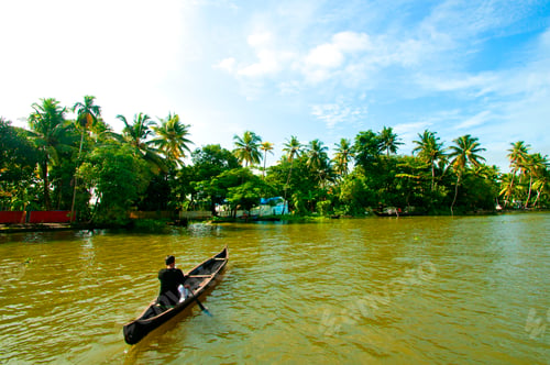 Preview: Landscape of Alleppey backwaters, Kerala, India.