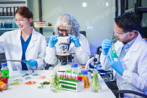 Preview: A male scientist and two women conduct plant research in a laboratory. microscopes, petri dishes