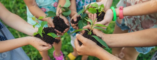 Preview: children plant plants together in their hands. Selective focus.