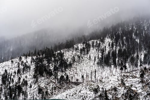 Preview: Fog and clouds covering the slopes of the Sierra mountains, California