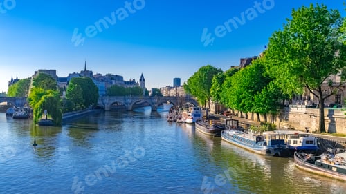 Preview: Paris, view of the Pont-Neuf