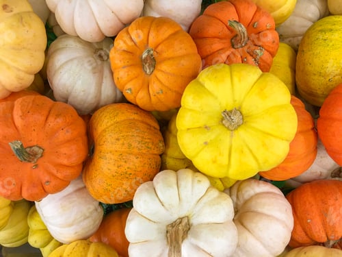 Preview: pumpkin
