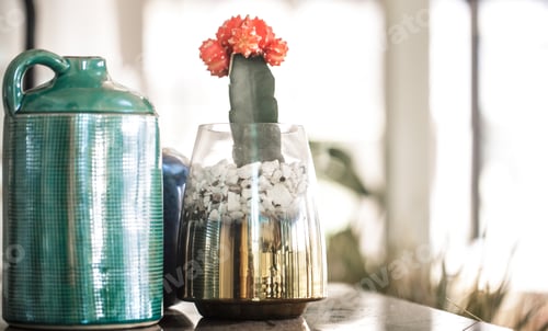 Preview: Colored vases and cactus in the interior of the cafe. East style
