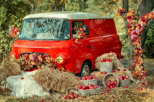Preview: thanksgiving day, vintage red bus, autumn wedding decoration, fall decor, fall floristry