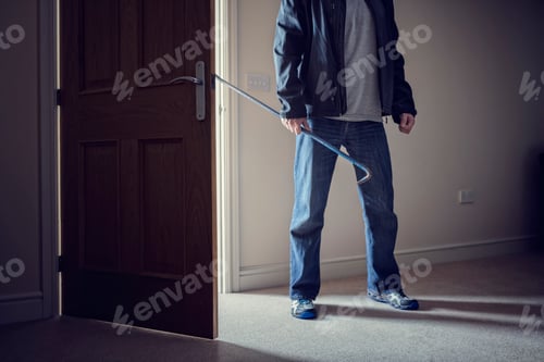 Preview: Burglary