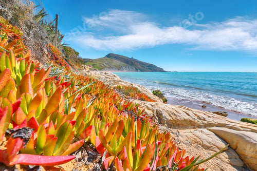 Preview: Fantastic summer morning on the Giallonardo beach.