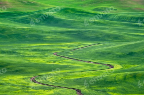 Preview: Winding irrigation ditch through rolling hills in rural landscape