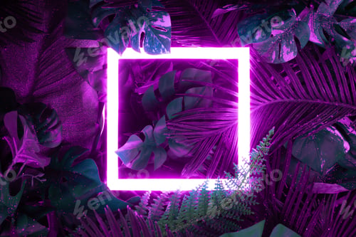 Preview: Creative fluorescent color layout made of tropical leaves with neon light square.