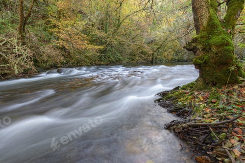 Preview: Soft Autumn Light illuminates the bed of a River
