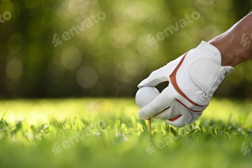 Preview: Golf