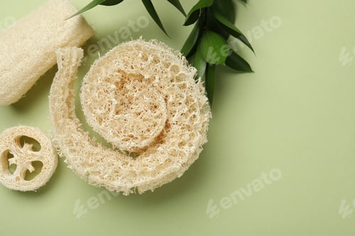 Visualização: Esponjas e folhas naturais de bucha em fundo verde, camada plana. Espaço para texto